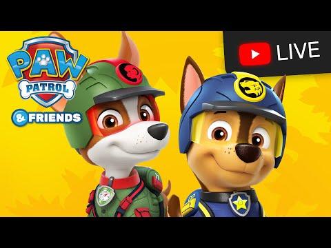 🔴 NEW! PAW Patrol Season 10 Jungle Rescue, Rescue Wheels, Mighty Pups - All Day Cartoon Live Stream